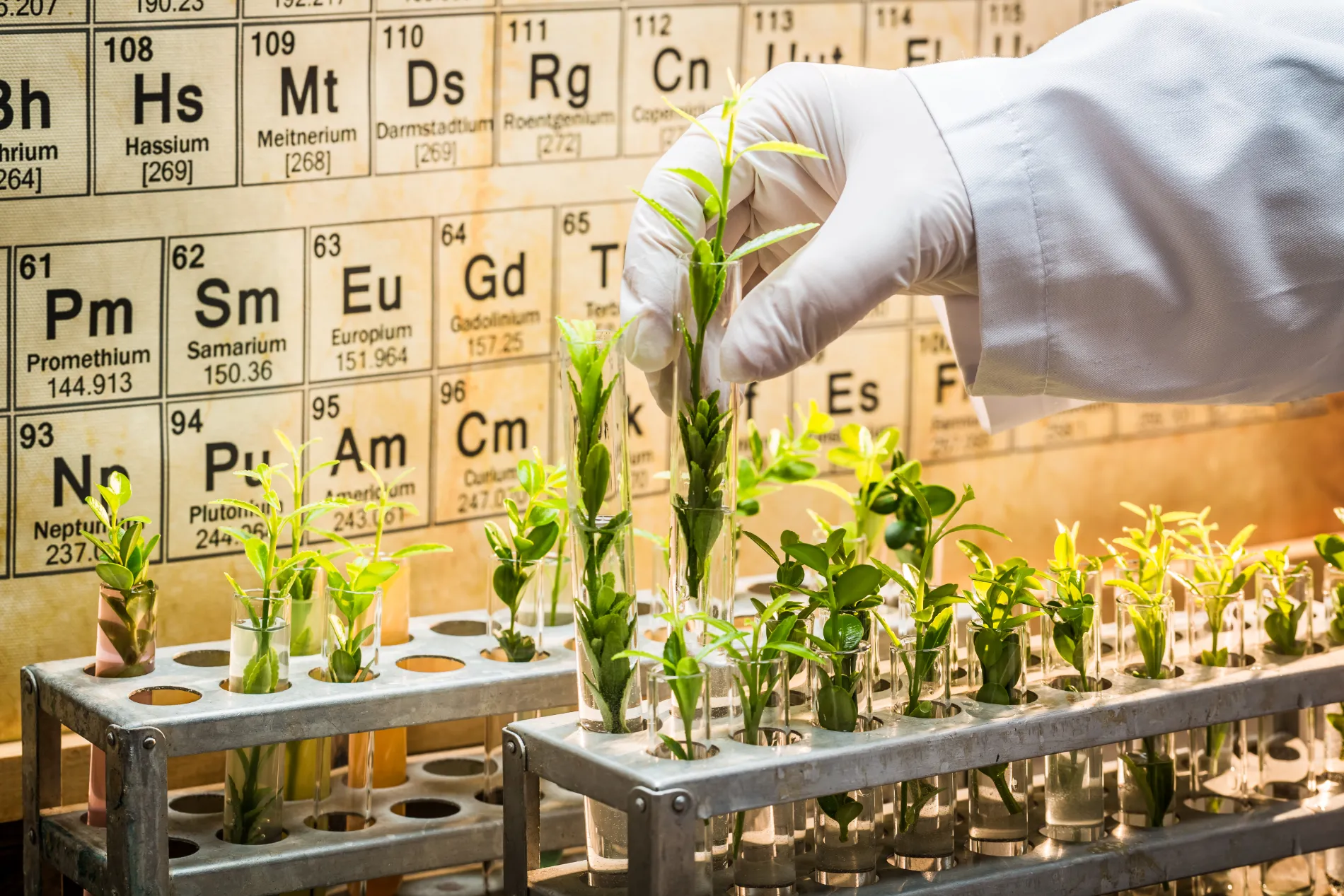 Agrochemicals department — pesticides, fertilizers, biologicals